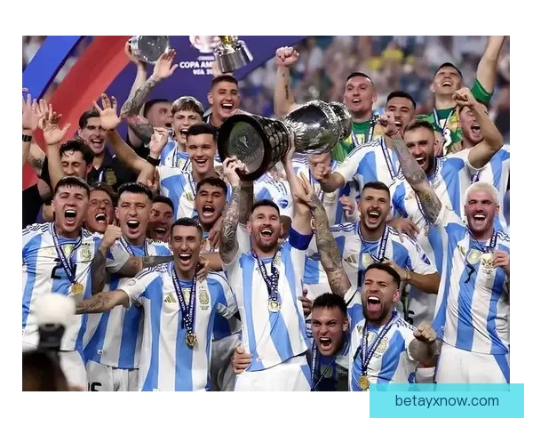 2026世界杯竞猜平台全面解析与投注技巧指南助你稳健赢取大奖